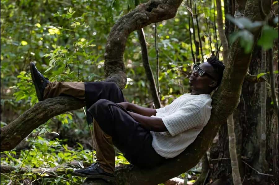 Kaya Kinondo Sacred Forest Guided Tour - Wildlife and birdwatching on the well-kept winding trail