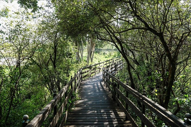 Keekorok Lodge 3 Days, 2 Nights Maasai Mara Offer - Full-Day Big Five Searching at Maasai Mara National Reserve