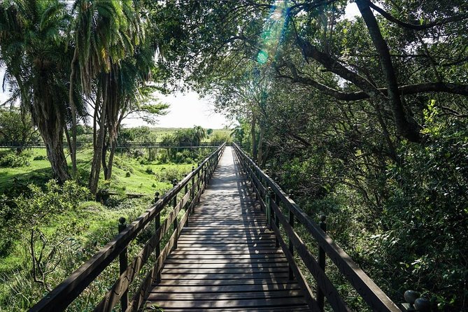 Keekorok Lodge 3 Days, 2 Nights Maasai Mara Offer - Optional Balloon Safari and Masai Village Add-Ons