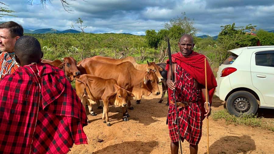 Kenya: Maasai Village Visit with Traditional Dance Show - Inside the Village: Houses, Guided Walks, and Real Interactions