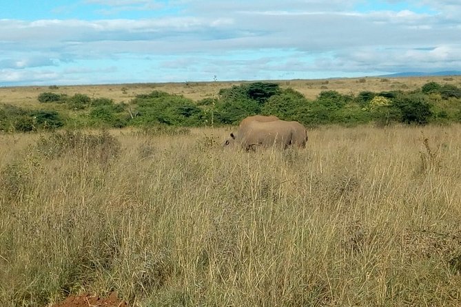 Kenya safari - Lake Naivasha and Hell’s Gate: walking, cycling, boats, and a change of scenery