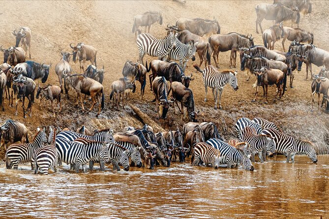 Kenya safari - Full-day game drive and packed lunch on your second Mara day