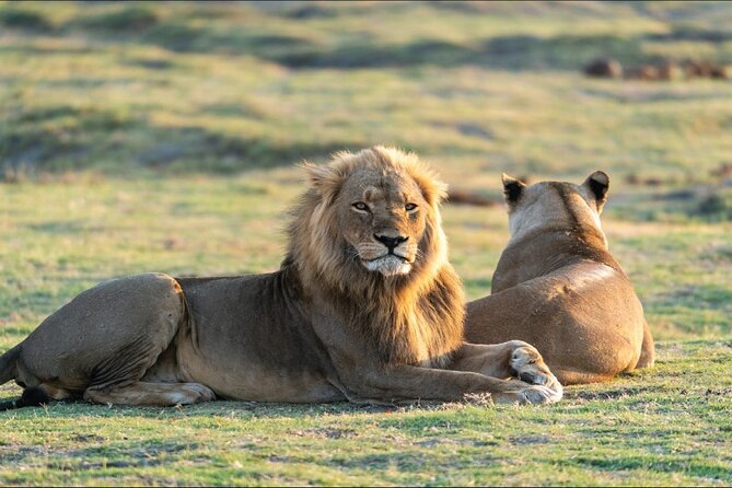 Kenya safari - Balloon morning, breakfast in the wild, and a culture choice