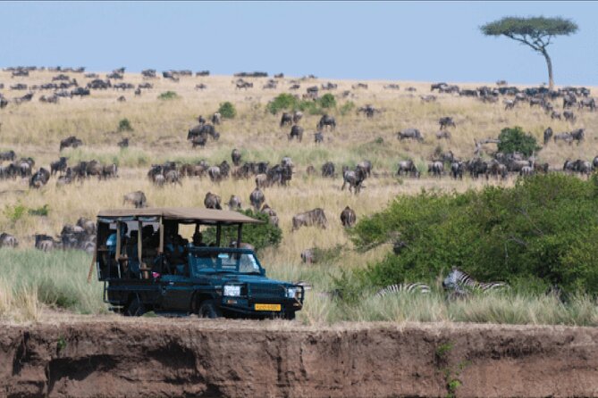 Kenya safari - Lake Nakuru, Naivasha, and Mara together: why this route makes sense
