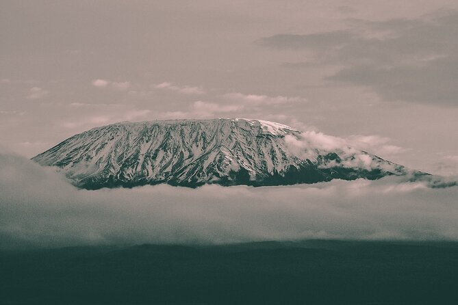 Kilimanjaro Wanderlust Day Hike - Key highlights you should care about