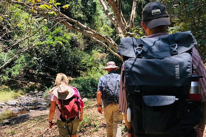 Kilimanjaro Wanderlust Day Hike - Why this Kilimanjaro day hike feels different than the usual hype