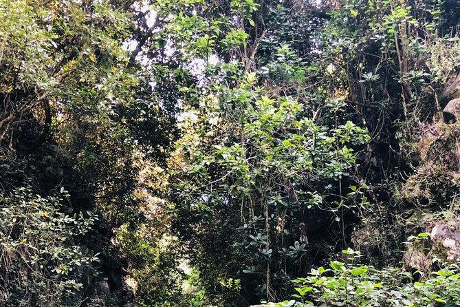 Kilimanjaro Wanderlust Day Hike - Stop 1: Mt Kilimanjaro views, morale first, questions right after
