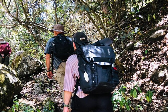 Kilimanjaro Wanderlust Day Hike - The guide experience: patient, story-driven, and focused on safety