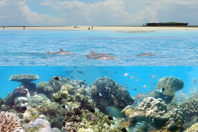 Kisite Marine Park Private Boat Snorkeling with breakfast & Lunch - Kisite and Wasini Make a Powerful Combo for Snorkel Time