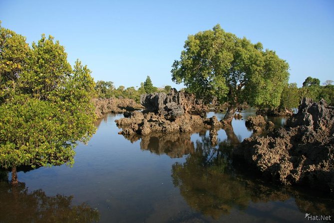 Kisite Marine Park Private Boat Snorkeling with breakfast & Lunch - Price and Value for a Private Boat Day From Malindi