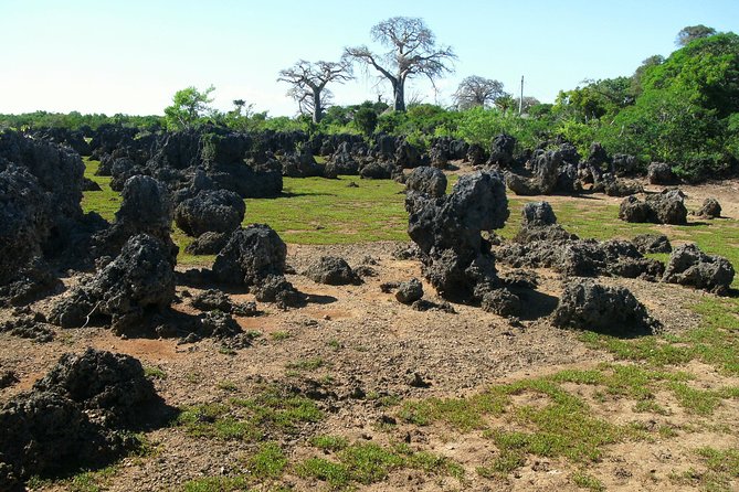 Kisite Marine Park Private Boat Snorkeling with breakfast & Lunch - Shimoni Slave Caves on the Return Trip