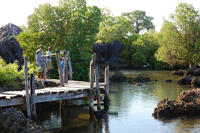 Kisite Marine Park Private Boat Snorkeling with breakfast & Lunch - What the Private Setup Changes for Your Day