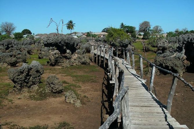 Kisite Marine Park Private Boat Snorkeling with breakfast & Lunch - Morning Logistics: The Malindi to Shimoni Drive and Jetty Start