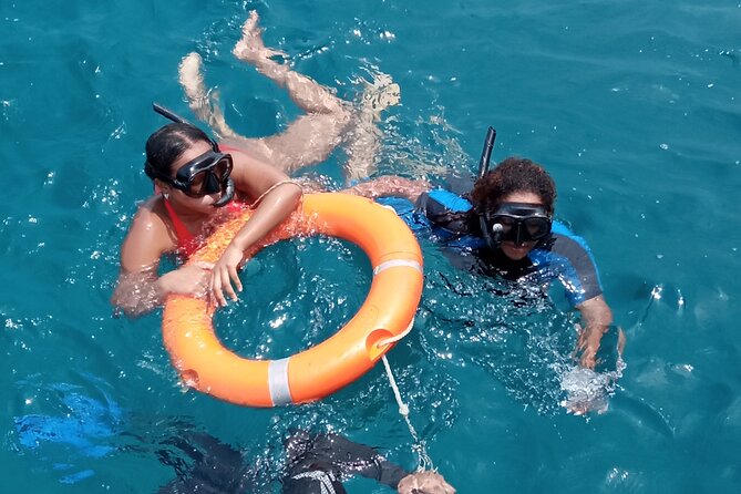 Kisite Mpunguti Day Trip. A day of Oceanic Wonders - What this trip is best for