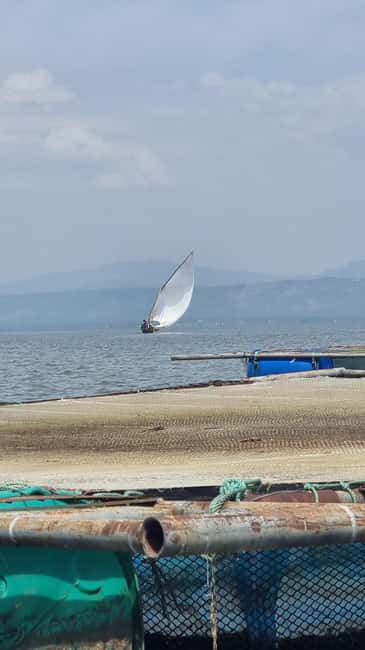 Kisumu Lake Victoria Boat Ride and Hippo Hunt - Community walk in Dunga village: fishing life, port energy, and local context