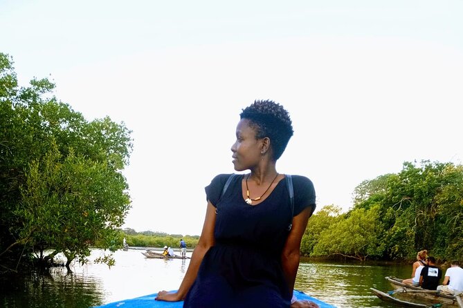 Kongo River Sunset Experience in Canoe - Birdwatching Bonus: 30+ Species Lining Up for This Kind of Quiet