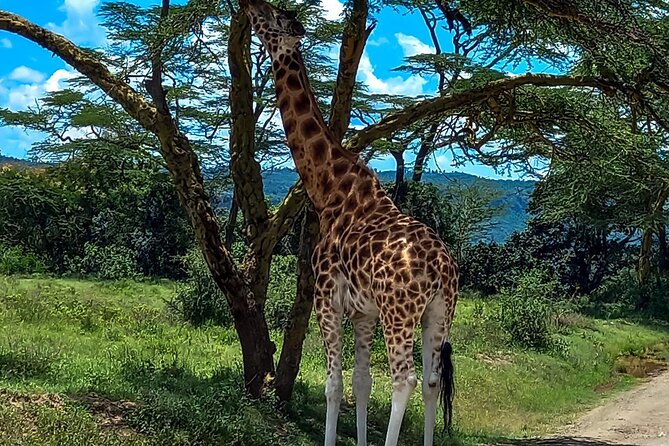 Lake Naivasha And Lake Nakuru Overnight Tour - Overnight on full board, then breakfast before the big game drive