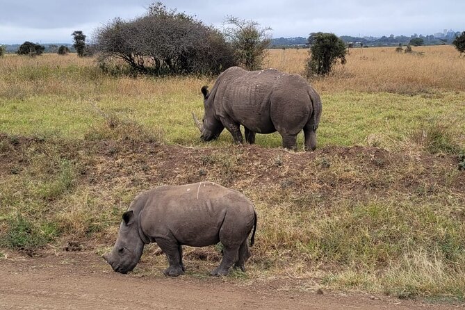 Lake Naivasha And Lake Nakuru Overnight Tour - Price, inclusions, and the add-ons to budget for