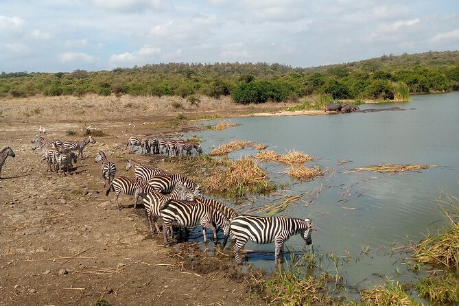 Lake Naivasha And Lake Nakuru Overnight Tour - The guide factor: how Joseph-style spotting makes the difference