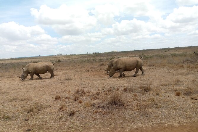 Lake Naivasha And Lake Nakuru Overnight Tour - Should you book this tour?