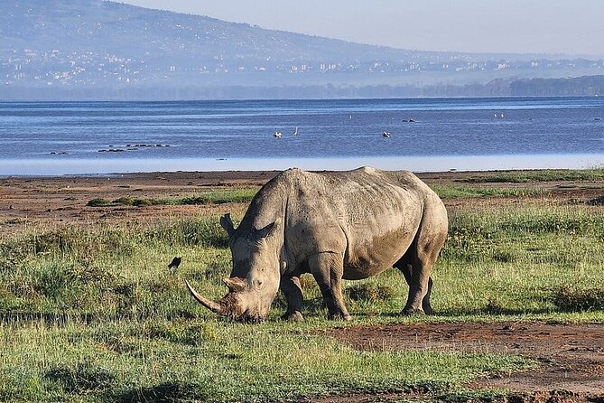 Lake Naivasha And Lake Nakuru Overnight Tour - Hells Gate National Park: cycling, car options, and gorge sights