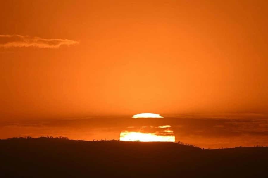 Lake Naivasha: Crescent Island Game Sanctuary - Crescent Island guided walking tour: where the animals feel close