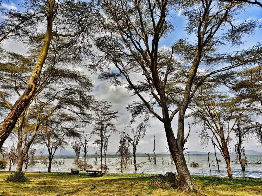 Lake Naivasha: Crescent Island Game Sanctuary - Lunch and the long ride back: where the day’s comfort varies