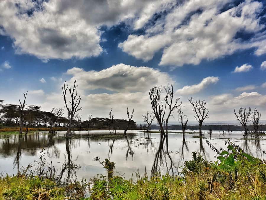 Lake Naivasha: Crescent Island Game Sanctuary - Should you book Lake Naivasha and Crescent Island?