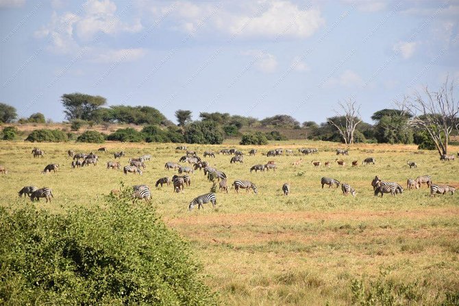 Lake Naivasha day tour including the crescent island - Wildlife encounters without the chaos