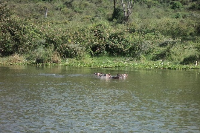 Lake Naivasha day tour including the crescent island - The Rift Valley escarpment stop: where photos and context meet
