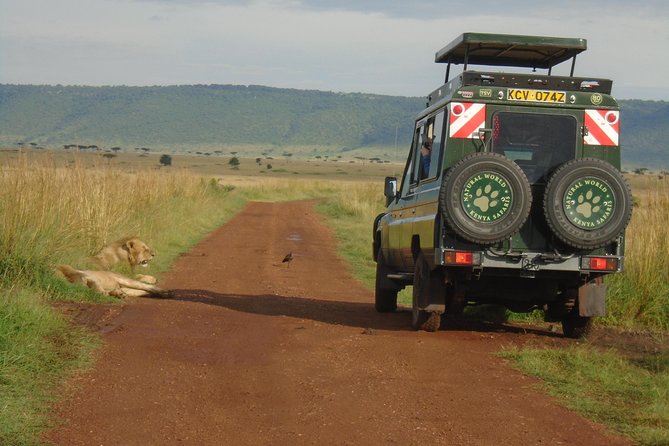 Lake Nakuru, Naivasha & Masai Mara 4 Days Private Jeep Safari - Day 2: A short Lake Nakuru stretch, then Maasai Mara afternoon drives