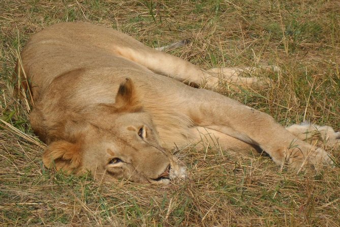 Lake Nakuru National Park Day Tour Via Lake Naivasha - Getting to Lake Naivasha and the lakeside boat cruise