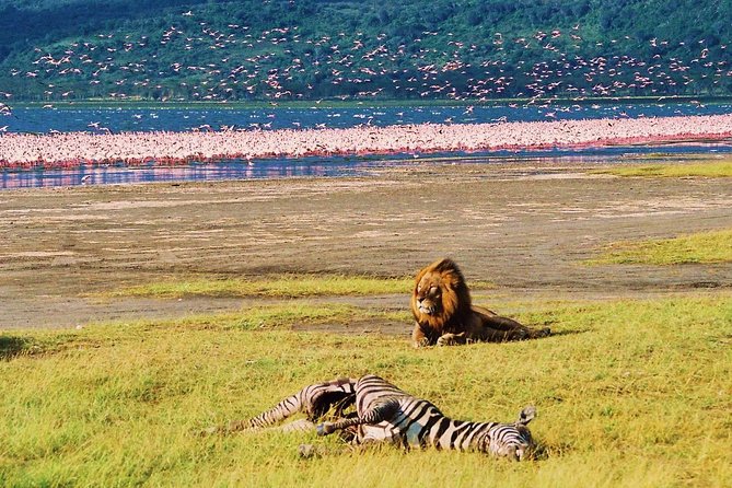 Lake Nakuru National Park: Day Trip from Nairobi - The 2-hour wildlife window, how to make it count