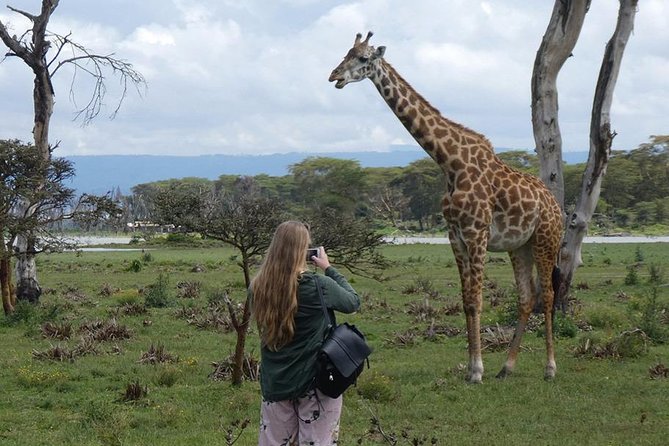 Lake Nakuru National Park: Day Trip from Nairobi - Price and value: $170 tour price plus $60 entrance fees