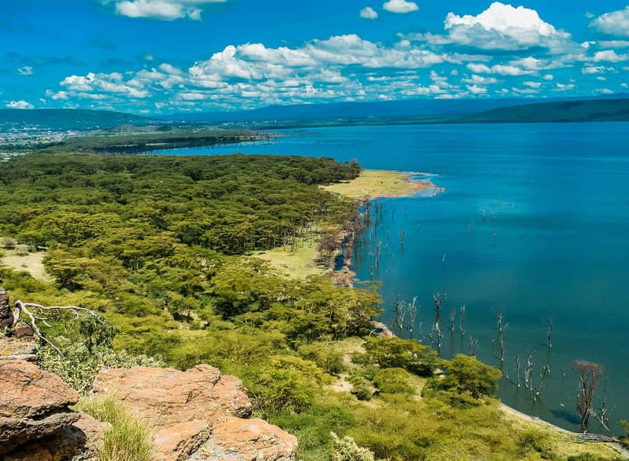 Lake Nakuru National Park: Daytrip in a 4X4 Private Jeep - Key things that make this day trip work