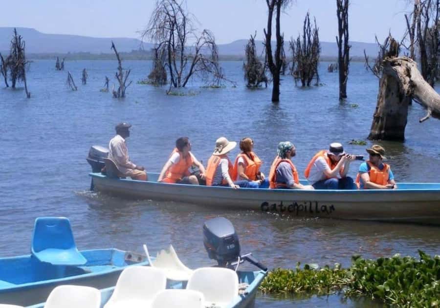 Lakes Nakuru& Naivasha National Park Wildlife Highlights - Who this tour is for, and who may want a different plan