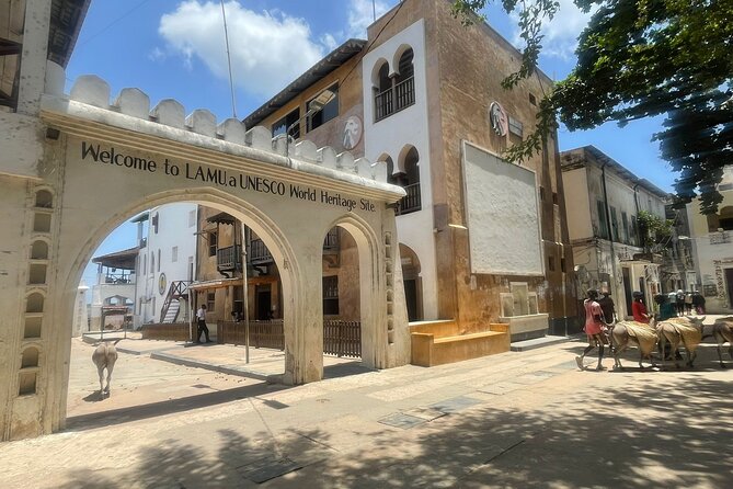 Lamu Old Town Walking Tour - Why Lamu Old Town feels different on foot