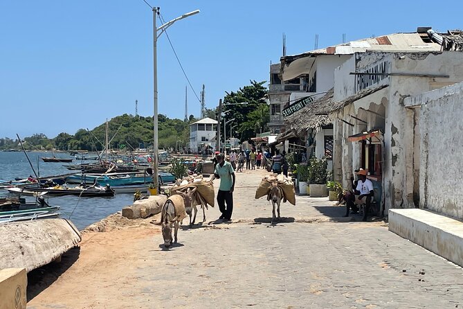 Lamu Old Town Walking Tour - Lamu Museum and the canons outside: power, trade, and shifting rule