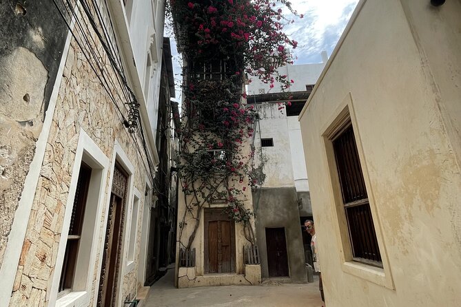 Lamu Old Town Walking Tour - Meeting at Lamu Town Square and what the 2 to 3 hour route means