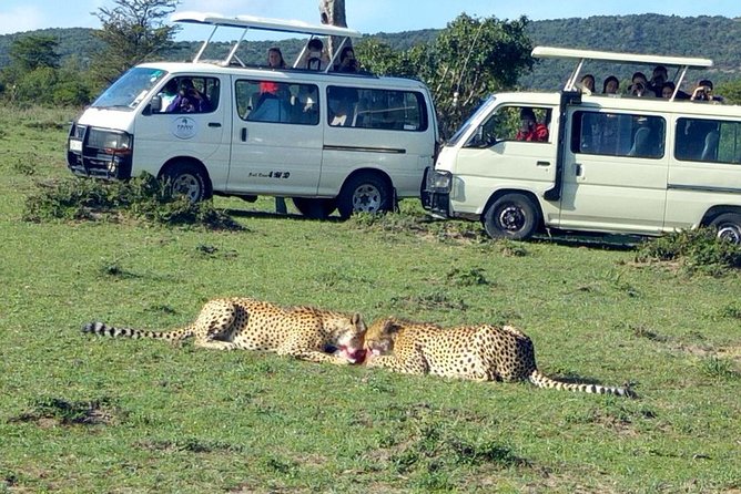 Maasai Mara 2-Day Safari Tour from Nairobi - Key things to know before you go