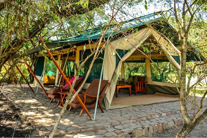 Maasai Mara 3 Day Guided Tour - What to Expect From the Big Five Theme (Without Overpromising)