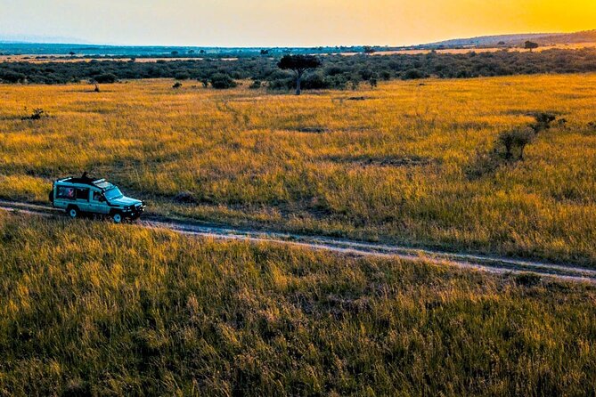 Maasai Mara 3 Day Guided Tour - Comfort, Safety, and the Guide Experience That Makes It Feel Smooth