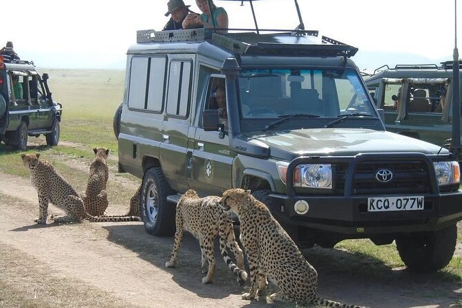 Maasai Mara 3 Day Guided Tour - Is This the Right Safari for You?
