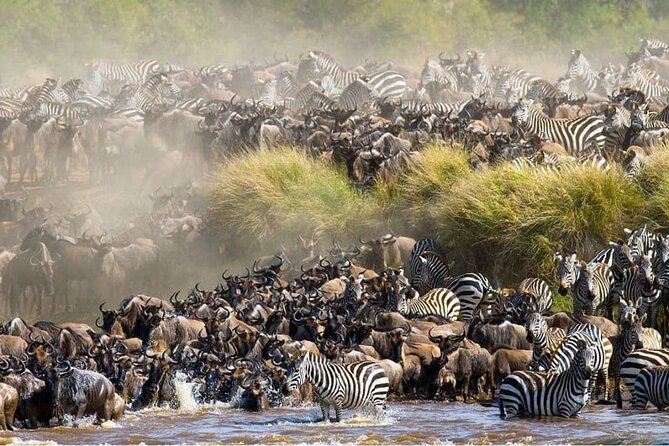 Maasai Mara 3 Day Guided Tour - Day 1 in Real Safari Terms: Great Rift Valley, Arrival, and First Drives