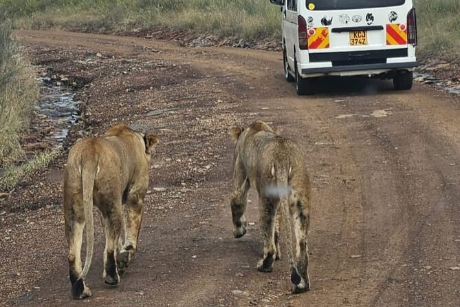 Maasai Mara Day Trip - Food, water, and why this day feels different because lunch is missing