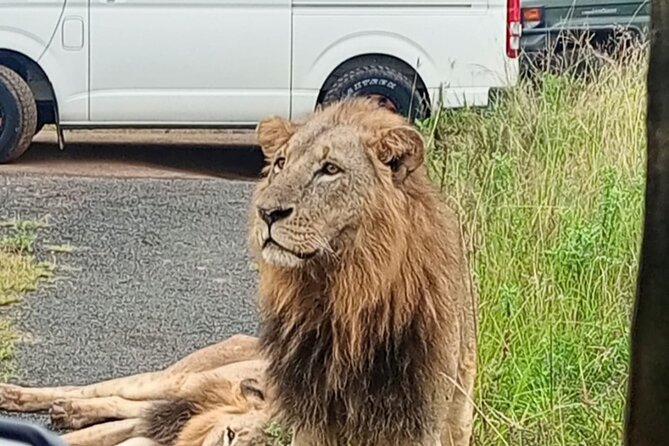 Maasai Mara Day Trip - Small group safaris, plus pacing that protects your photos