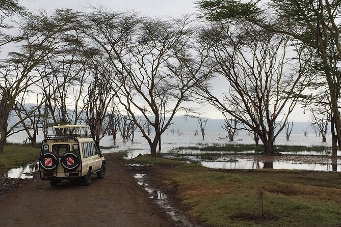 Maasai Mara Day Trip - Should you book this Maasai Mara day trip?
