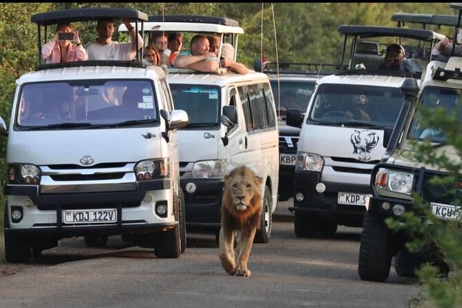 Maasai Mara Day Trip From Nairobi - Key highlights you will feel on this day trip