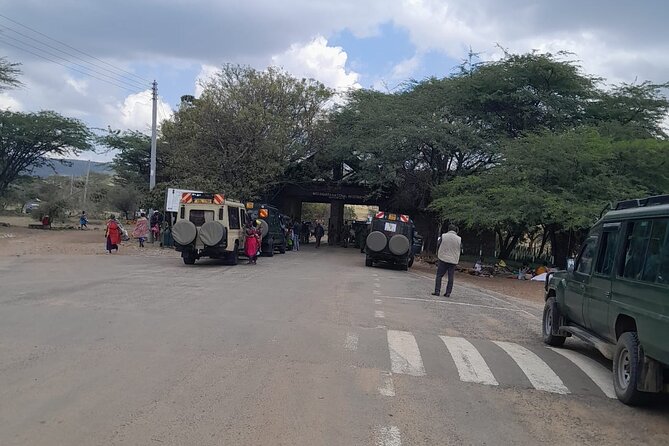 Maasai Mara Day Trip From Nairobi - What $250 gets you, and where value shows up