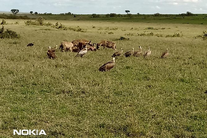 Maasai Mara Game Reserve - What Your Price Actually Covers (and What It Does Not)